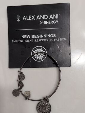 Alex and Ani Black Silver-Tone New Beginnings Charm Bangle